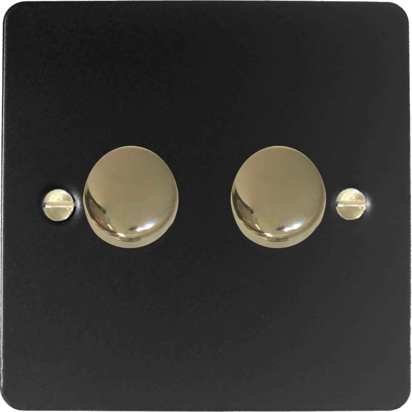 Flat Black 2 Gang LED Dimmer (Brass Caps)