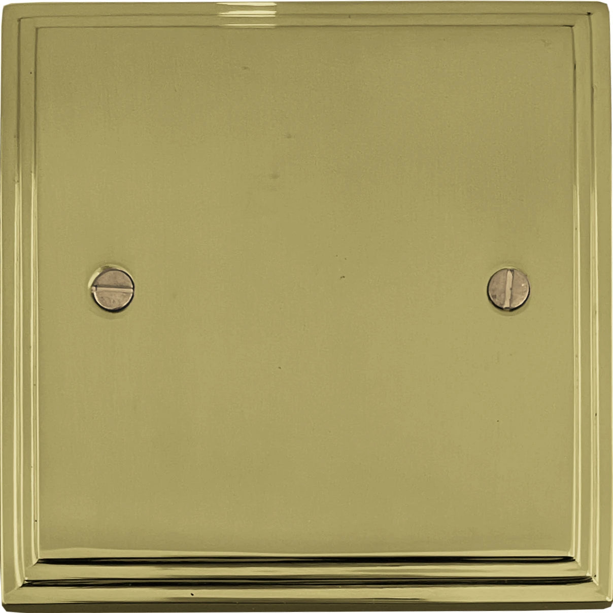 Victorian Polished Brass 1 Gang Blank