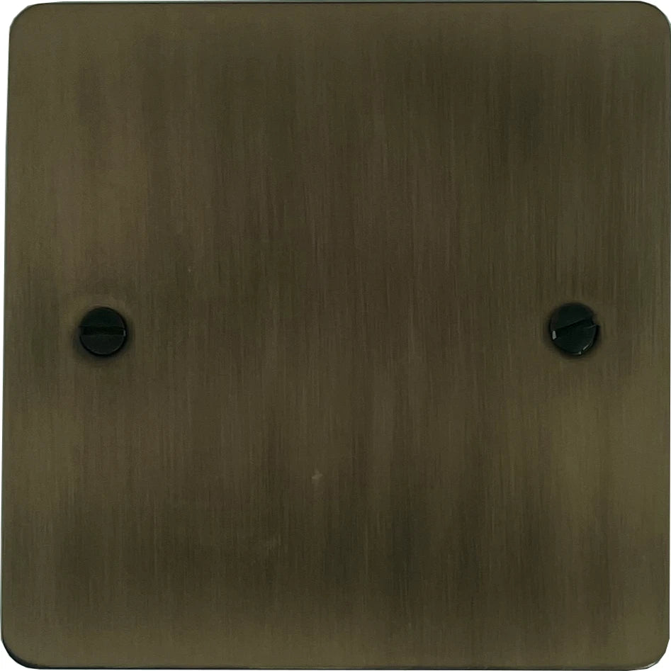 Flat Antique Brass 1 Gang Blank