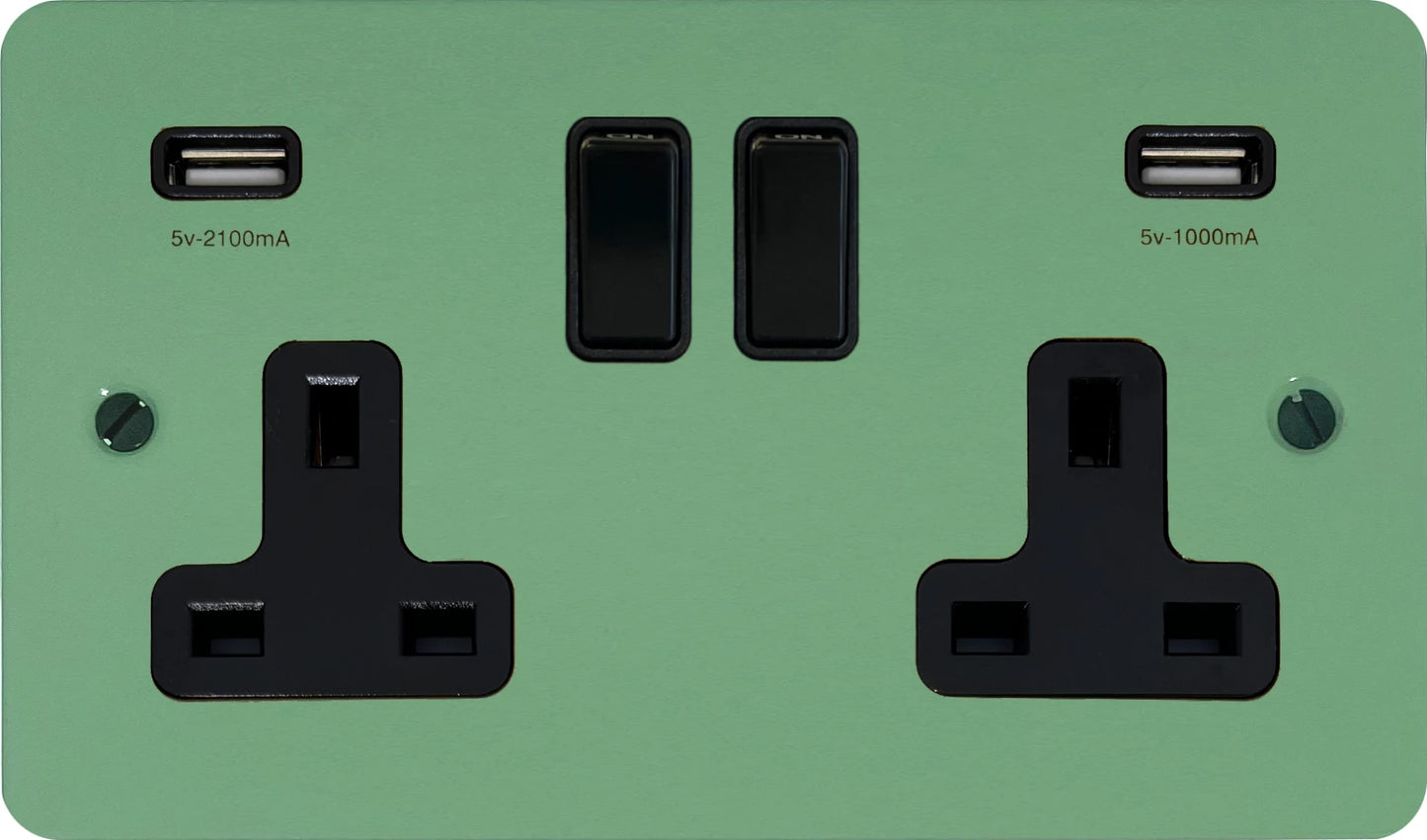 Flat Sage Green 2 Gang Socket with USB (Black Switches)