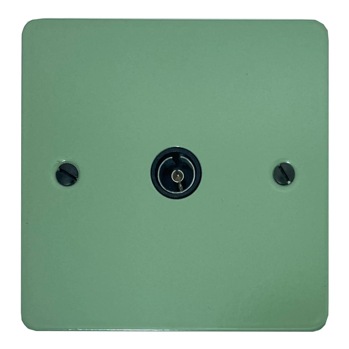 Flat Sage Green 1 Gang Coax Point (Black Insert)