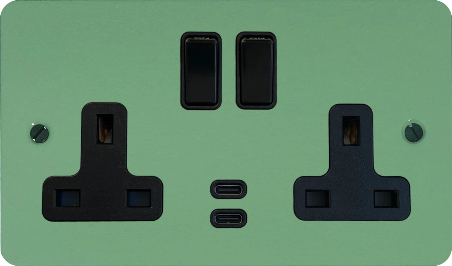 Flat Sage Green 2 Gang Socket with USBC (Black Switches)