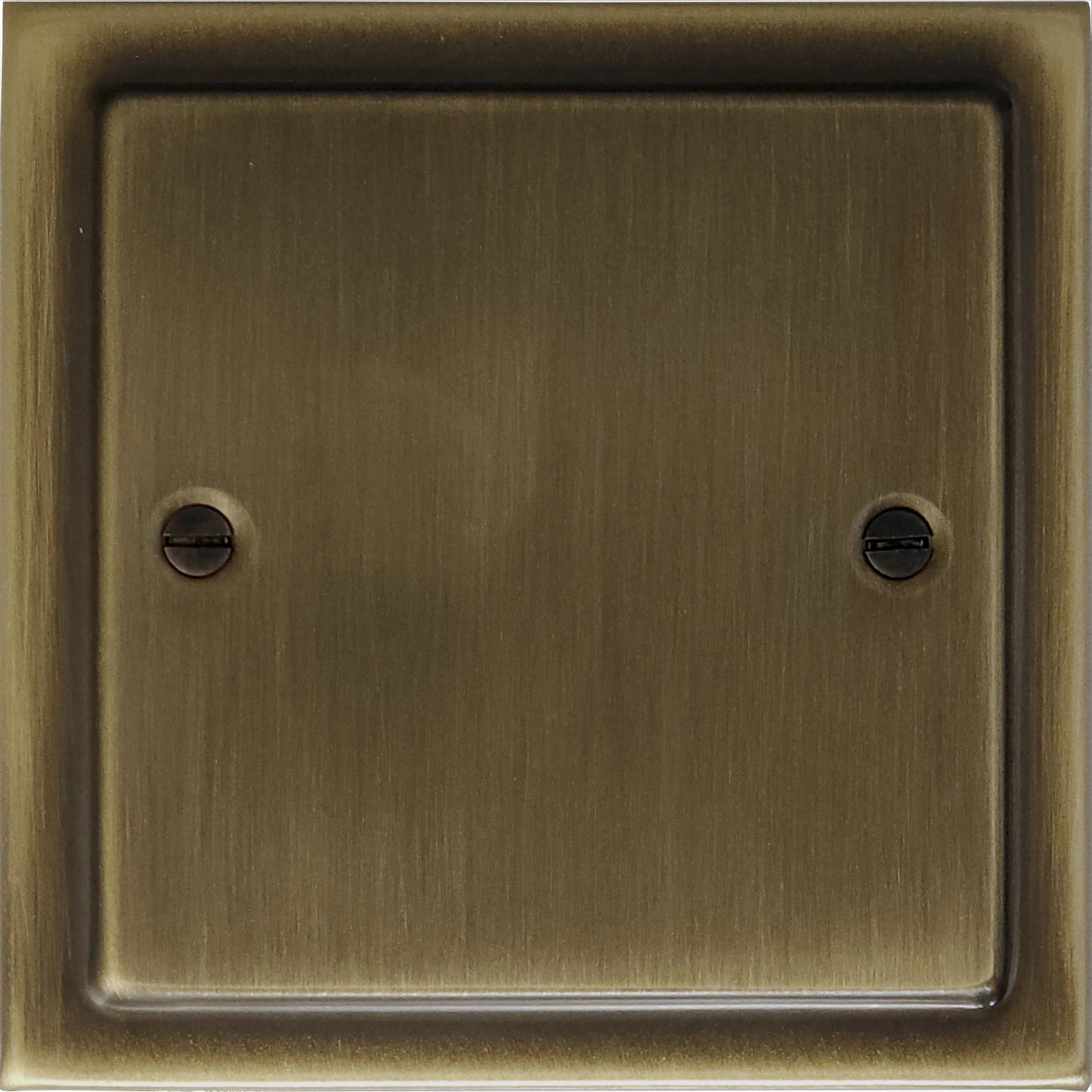 Victorian Antique Brass 1 Gang Blank