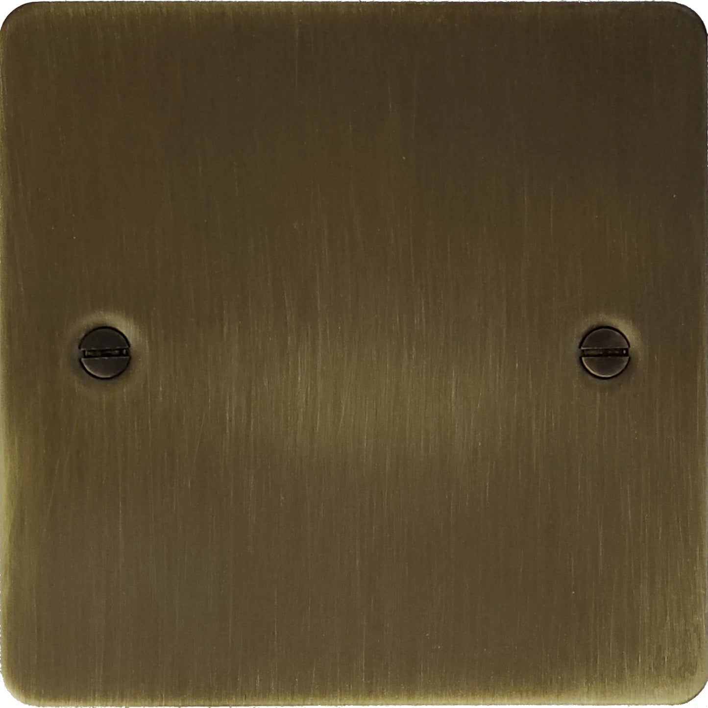 Flat Antique Brass 1 Gang Blank