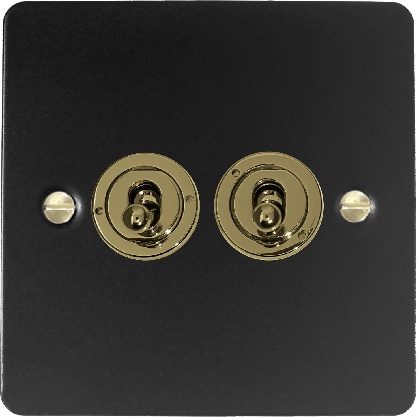 Flat Black 2 Gang Toggle Switch (Brass Switches)
