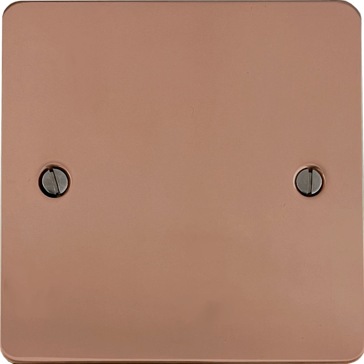 Flat Bright Copper 1 Gang Blank