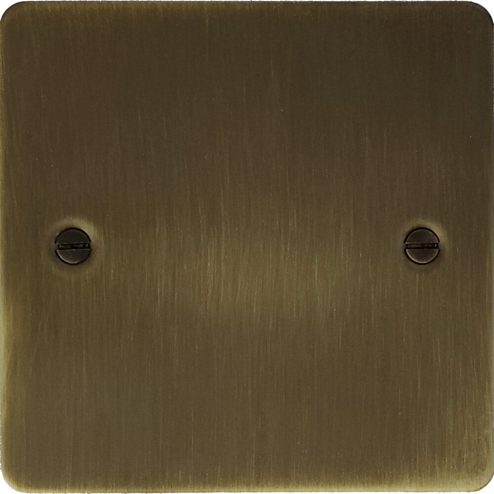 Flat Antique Brass 1 Gang Blank