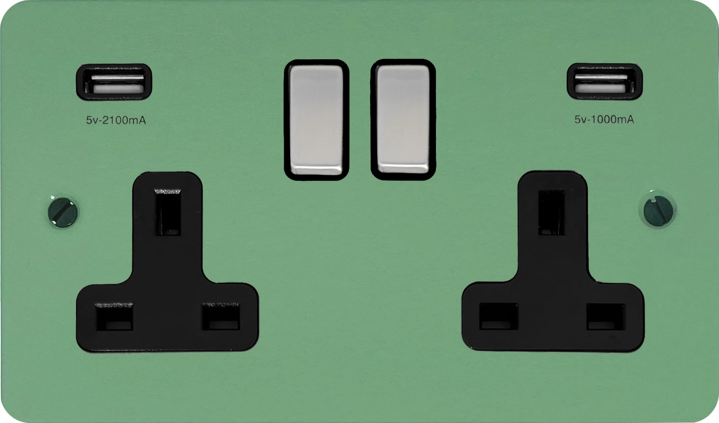 Flat Sage Green 2 Gang Socket with USB (Satin Chrome Switch/Black Insert)