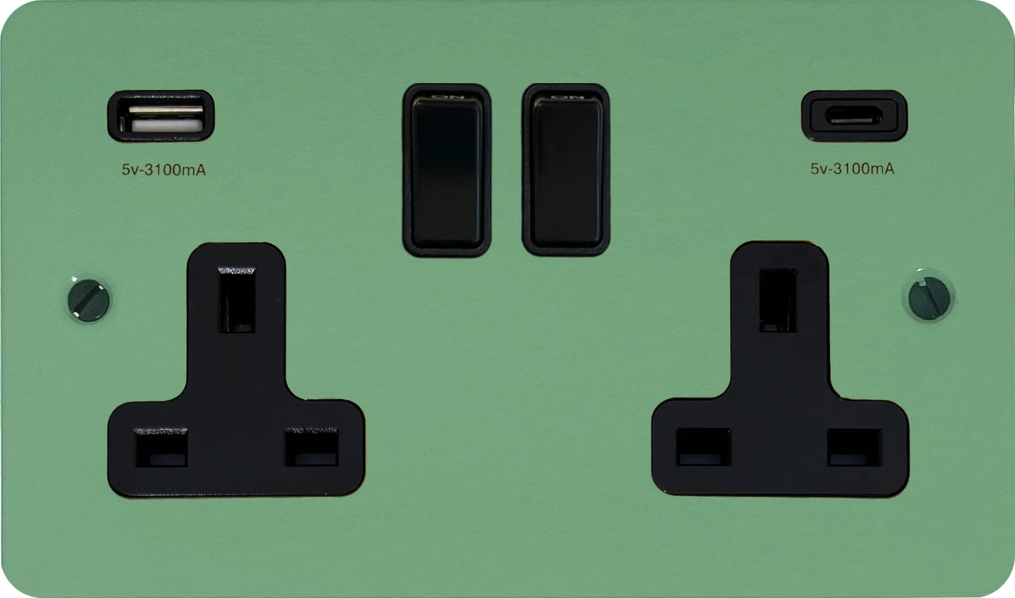 Flat Sage Green 2 Gang Socket with USBC (Black Switches)