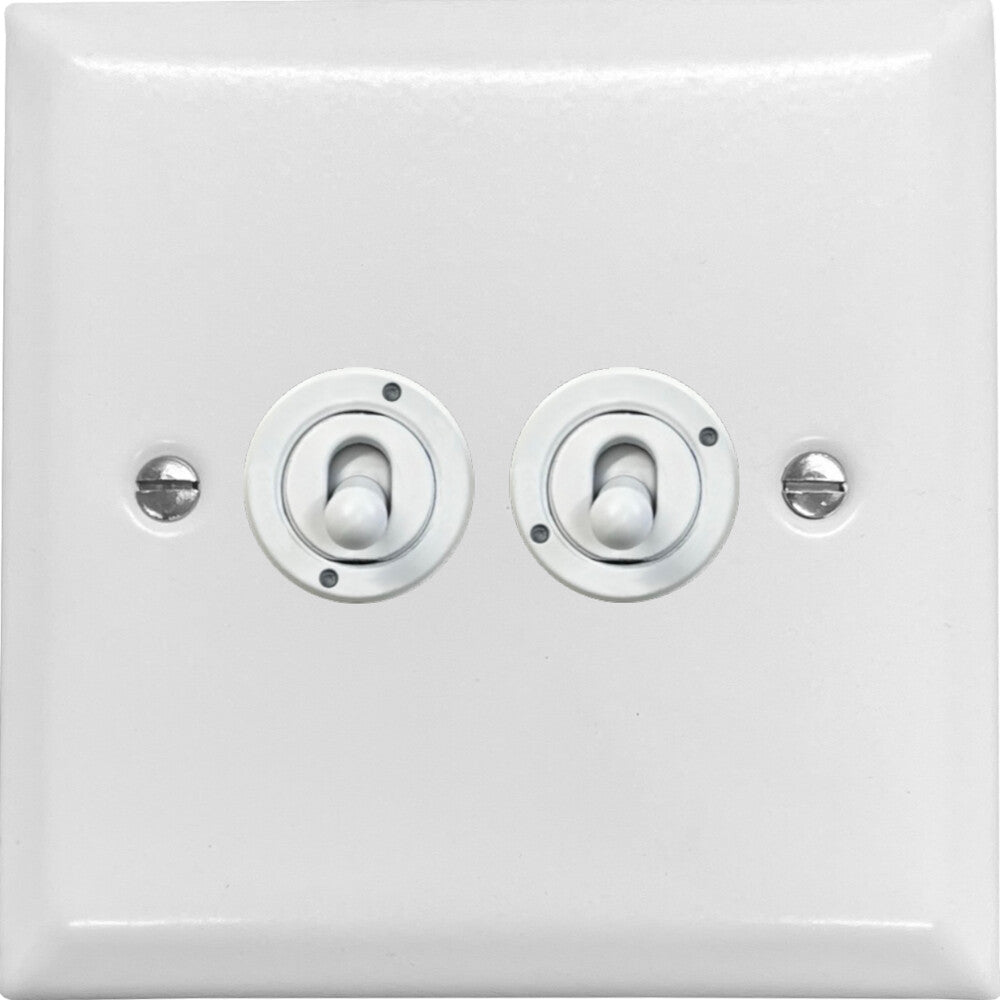 Spectrum Flat White 2 Gang Toggle (White Toggle)