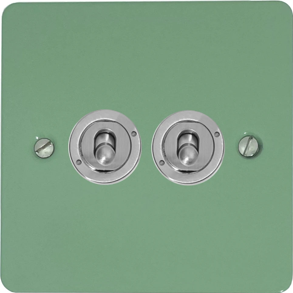 Flat Sage Green 2 Gang Toggle (Brushed Steel Toggle)