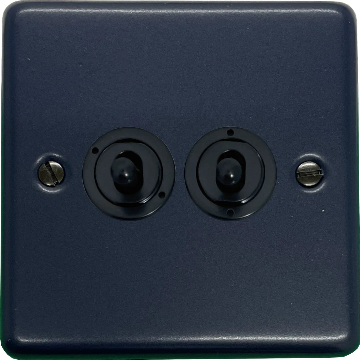 Contour Blue 2 Gang Toggle Switch (Flack Black Toggle)