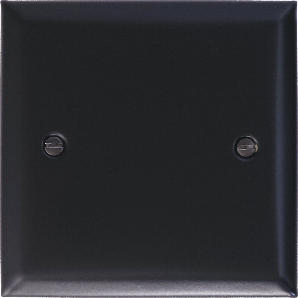 Spectrum Flat Black 1 Gang Blank