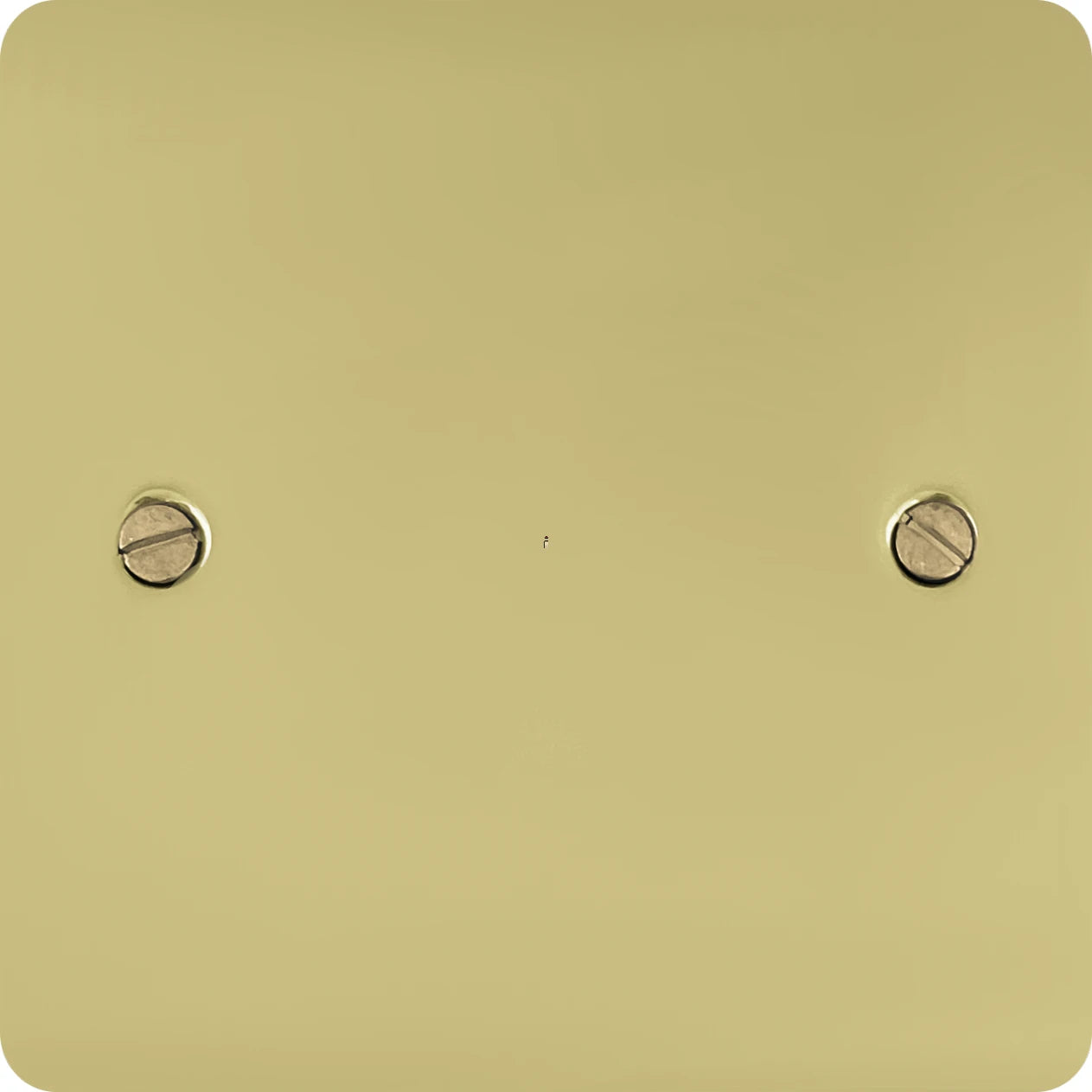 Flat Polished Brass 20A DP Switch