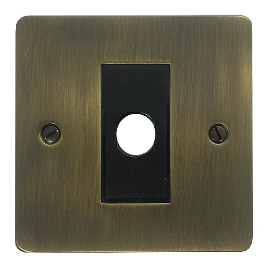 Flat Antique Brass Flex Outlet