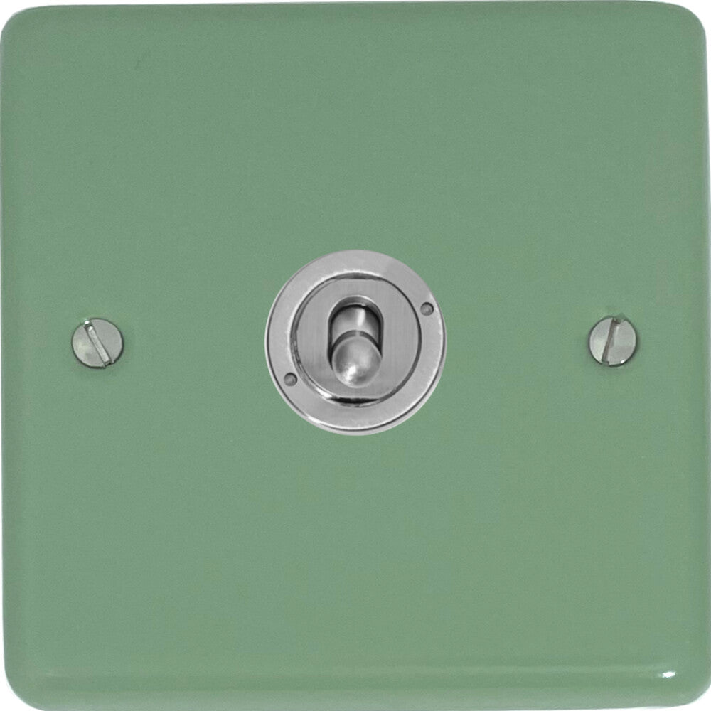 Classic Sage Green 1 Gang Toggle (Brushed Steel Toggle)