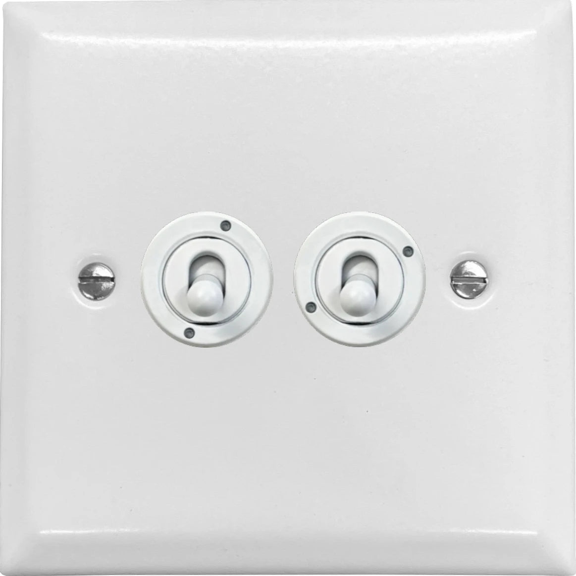 Spectrum Flat White 2 Gang Toggle (White Toggle)