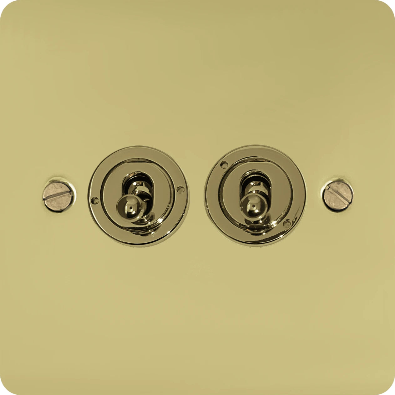 Flat Polished Brass 2 Gang Toggle Switch