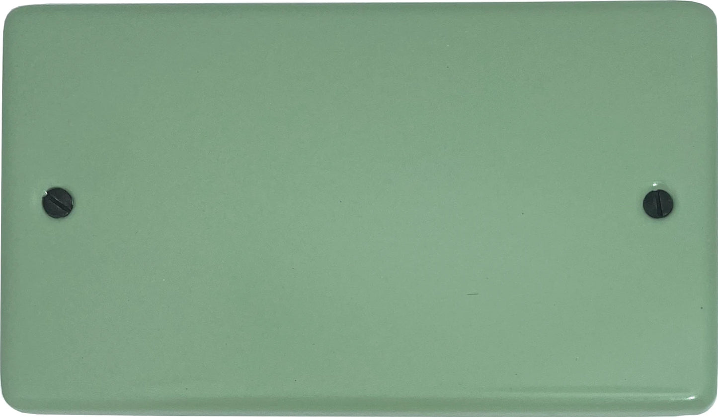 Classic Sage Green 2 Gang Blank Plate