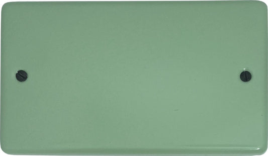 Classic Sage Green 2 Gang Blank Plate