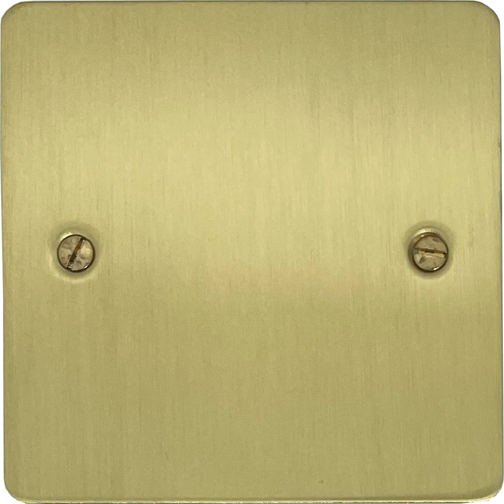 Flat Satin Brass 1 Gang Blank