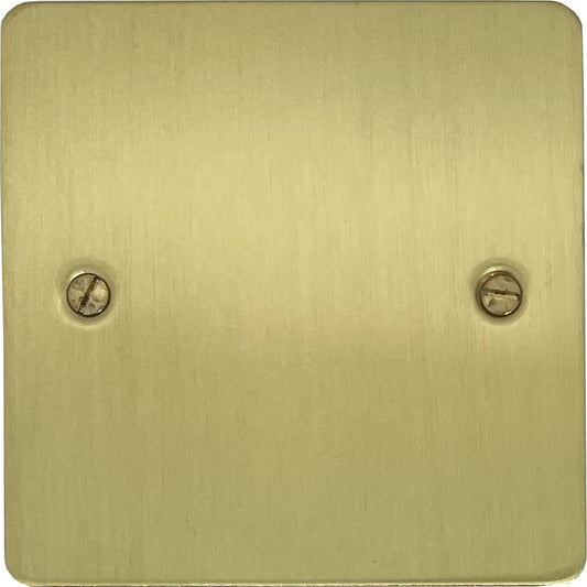 Flat Satin Brass 1 Gang Blank