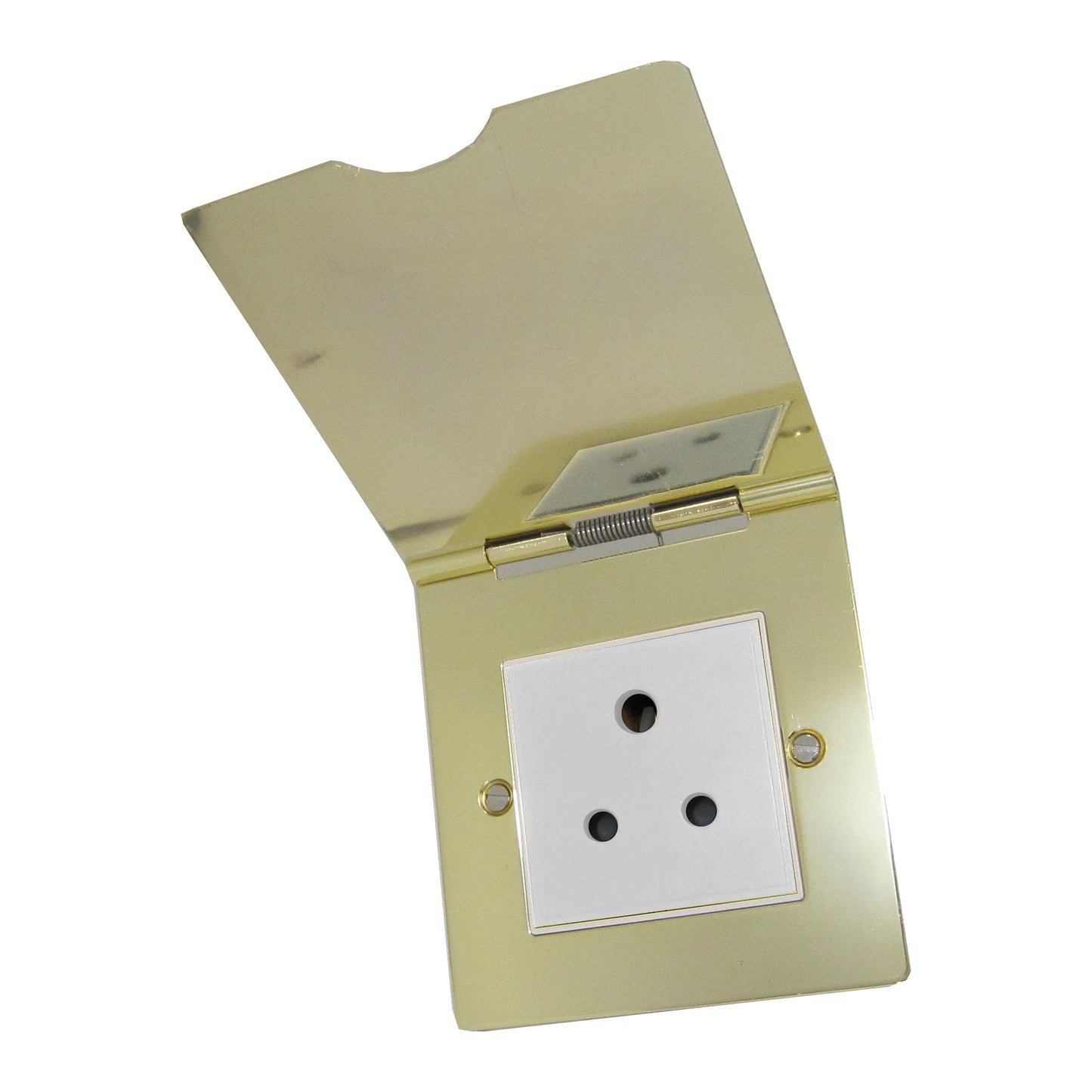 One Gang 5 Amp Polished Brass Floor Socket
