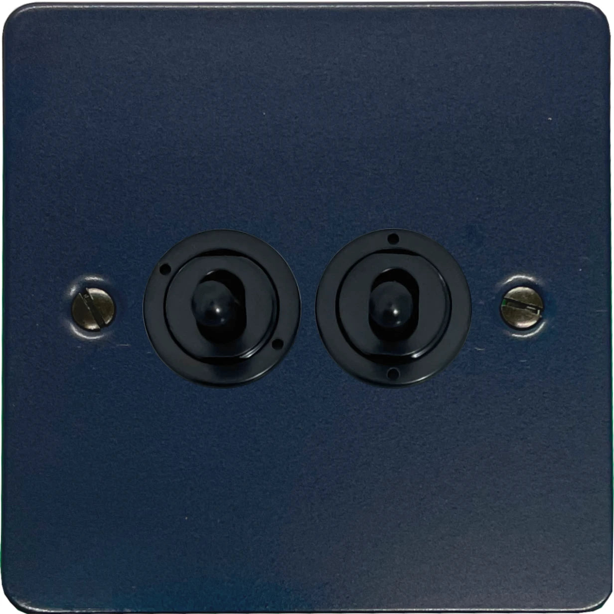 Flat Blue 2 Gang Toggle (Flat Black Toggle)