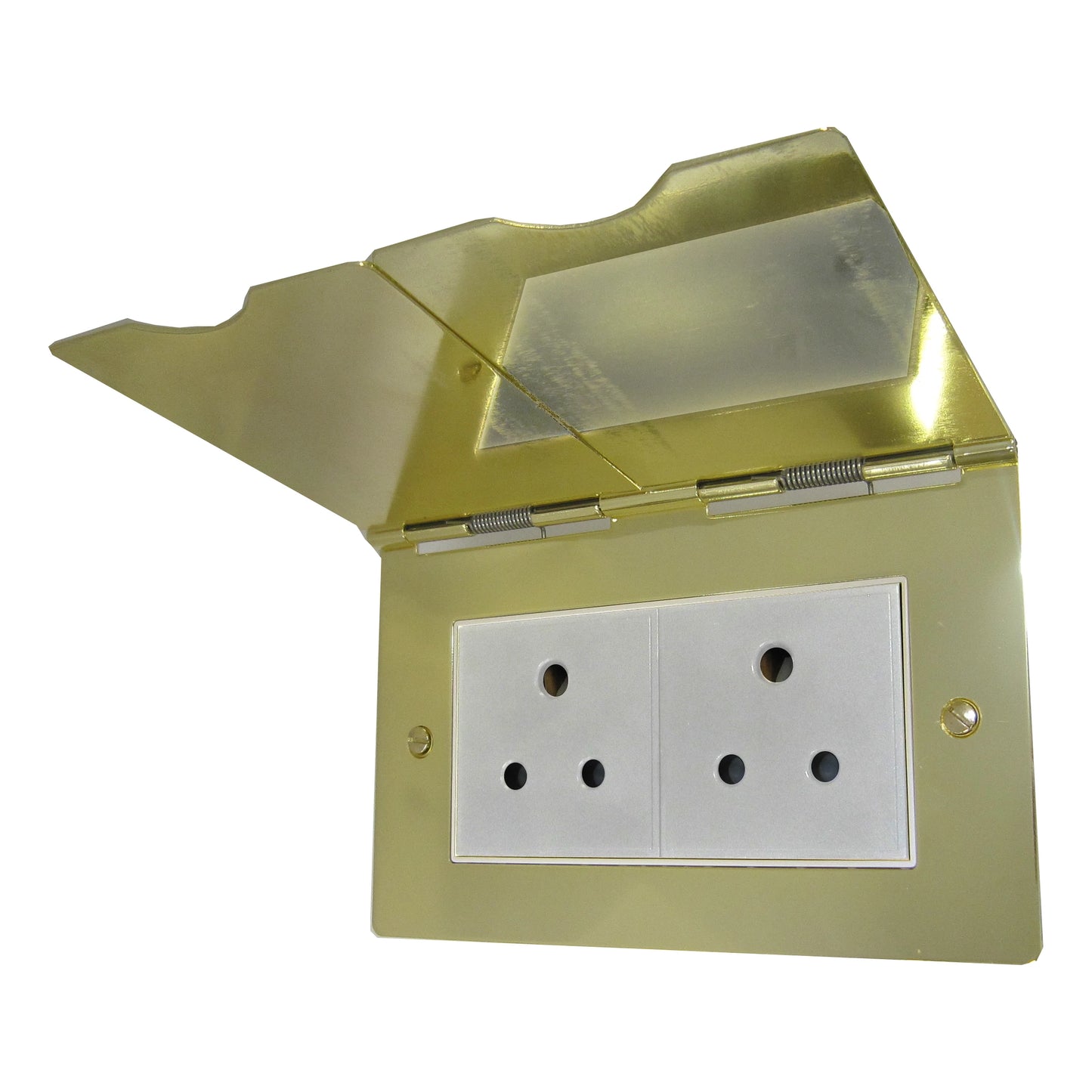 Two Gang 5 Amp Polished Brass Floor Socket