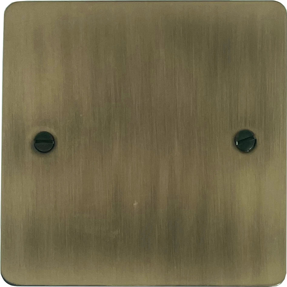Flat Light Antique Brass 1 Gang Blank