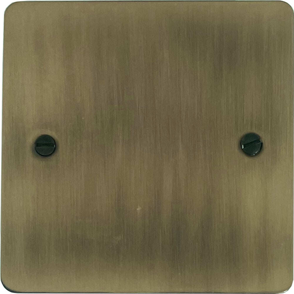 Flat Light Antique Brass 1 Gang Blank