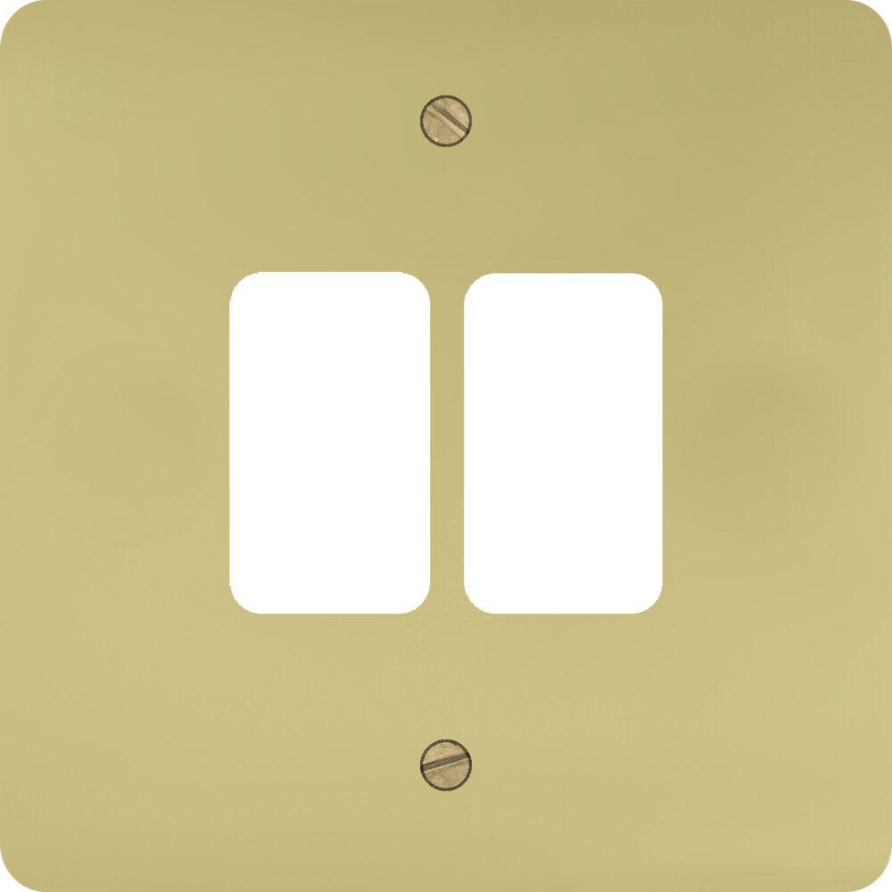 Flat Polished Brass 2 Gang Grid Plate