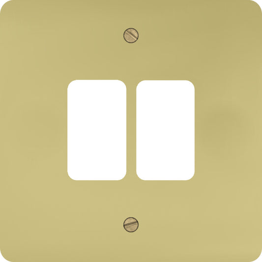 Flat Polished Brass 2 Gang Grid Plate