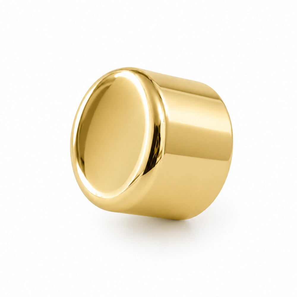 Polished Brass Dimmer Knob