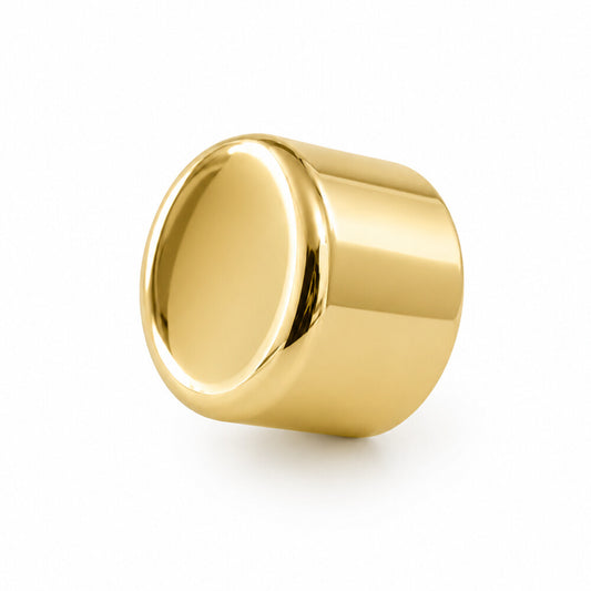 Polished Brass Dimmer Knob