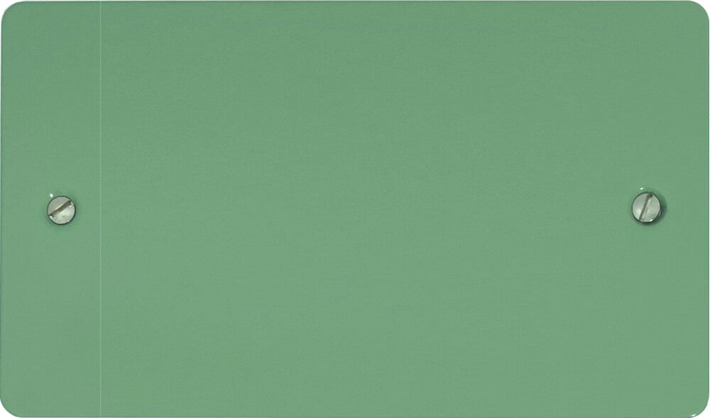 Flat Sage Green 2 Gang Blank