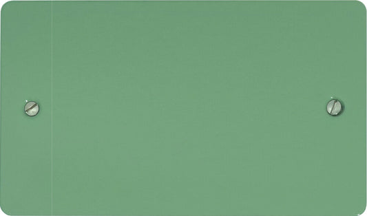 Flat Sage Green 2 Gang Blank