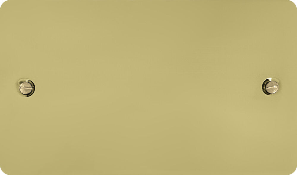 Flat Polished Brass 2 Gang Blank Plate