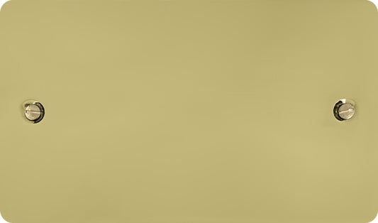 Flat Polished Brass 2 Gang Blank Plate