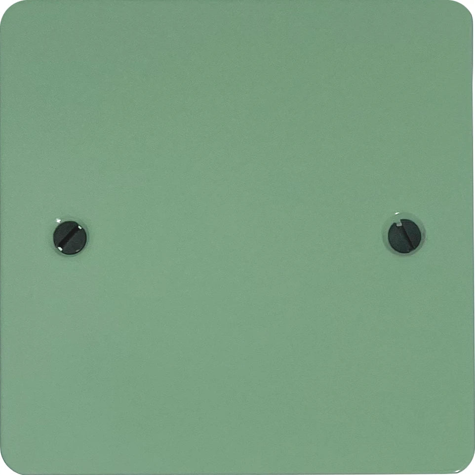 Flat Sage Green 1 Gang Blank