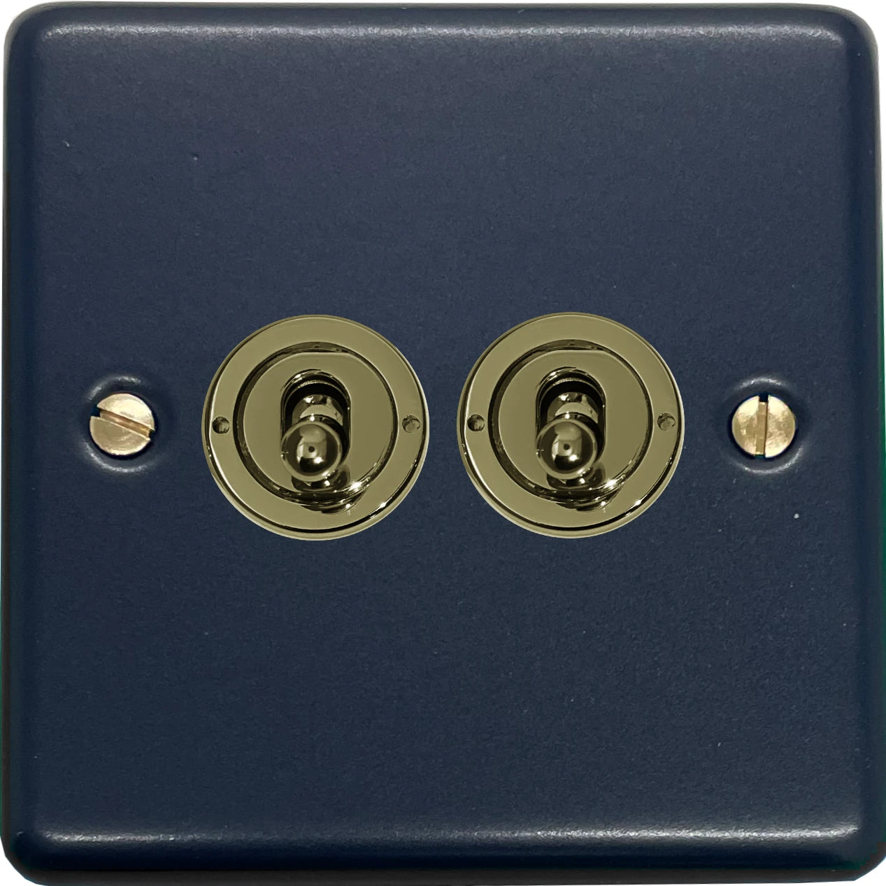 Contour Blue 2 Gang Toggle