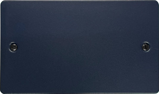 Flat Blue 2 Gang Blank