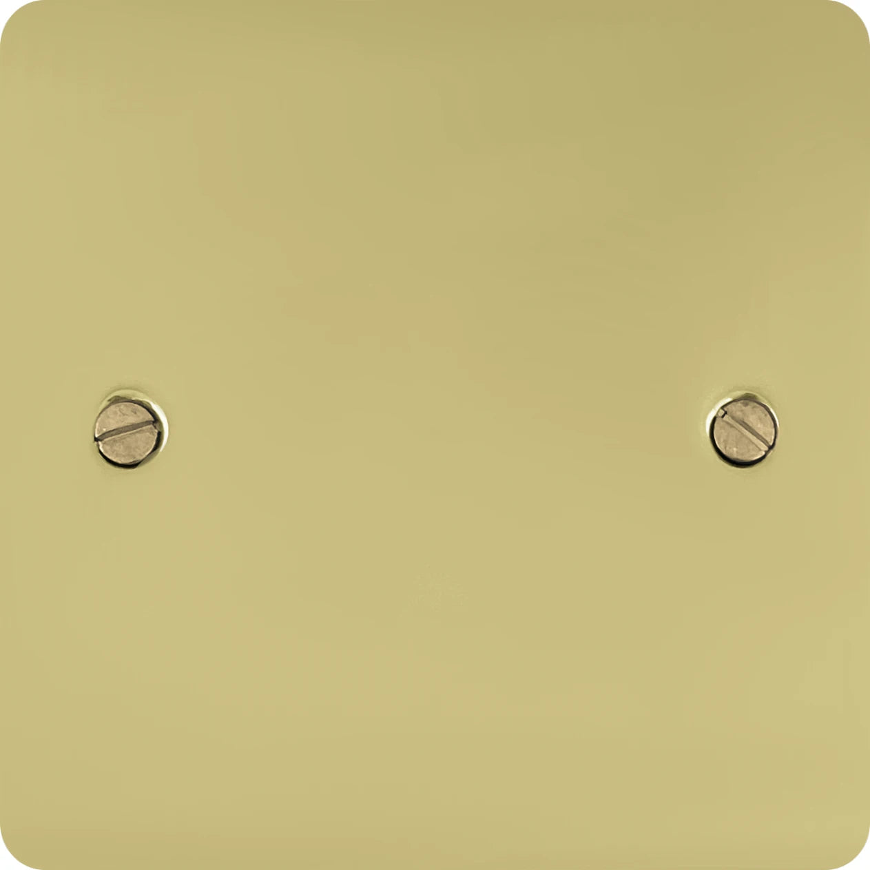 Flat Polished Brass 1 Gang Blank