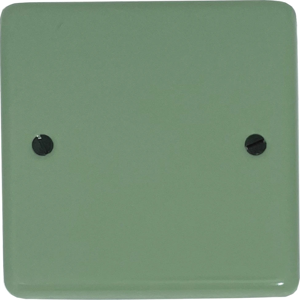 Classic Sage Green 1 Gang Blank