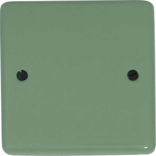 Classic Sage Green 1 Gang Blank