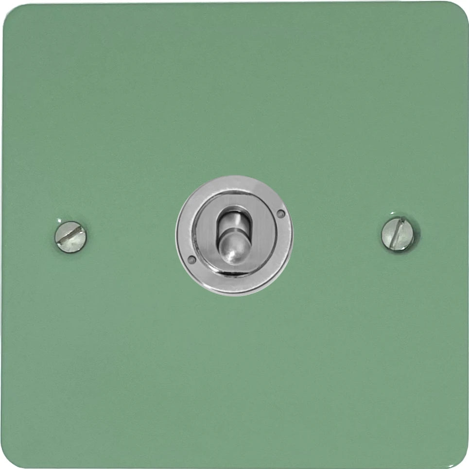Flat Sage Green 1 Gang Toggle (Brushed Steel Toggle)