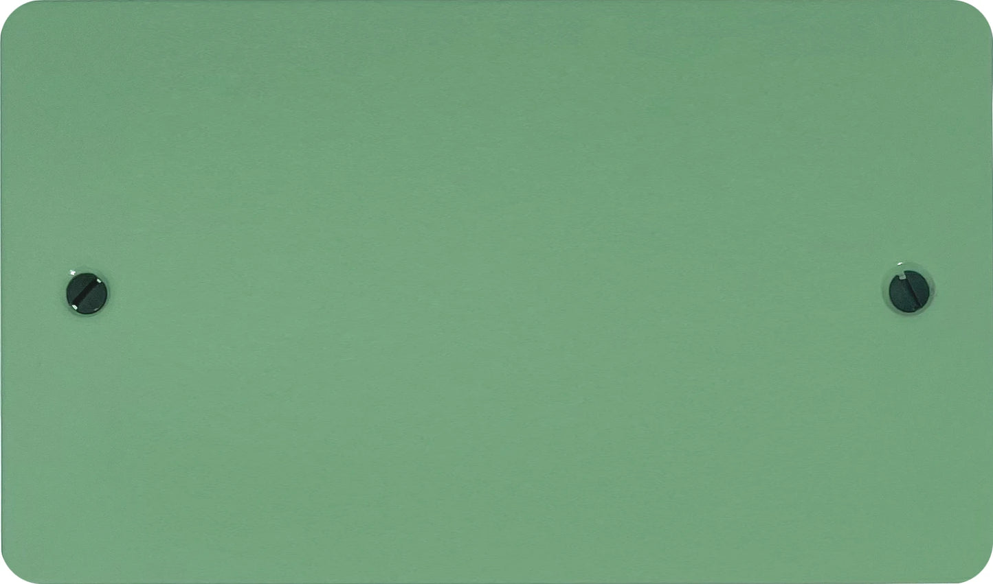 Flat Sage Green 2 Gang Blank