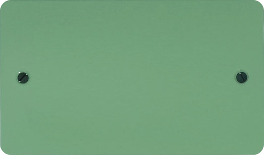 Flat Sage Green 2 Gang Blank