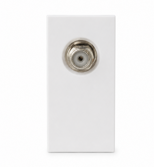 DM2W - SATELLITE MODULE