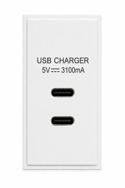 USB Module 3.1A - 2 x USB C - 25mm x 50mm